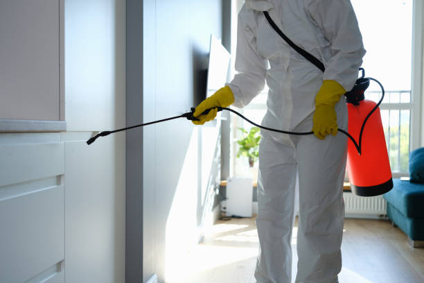 Crawl Space Mold Removal in Ahuimanu, HI