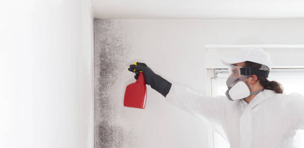 Best Mold Cleaning Services  in Ahuimanu, HI